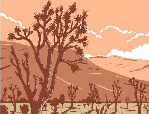 Breaking Ground in Boulder City- new construction